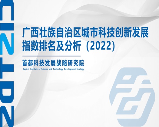 快点操我wwww【成果发布】广西壮族自治区城市科技创新发展指数排名及分析（2022）